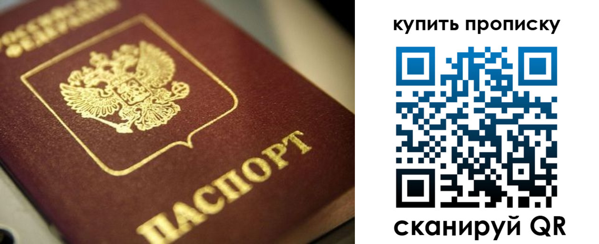 прописка поиск в Бавлах